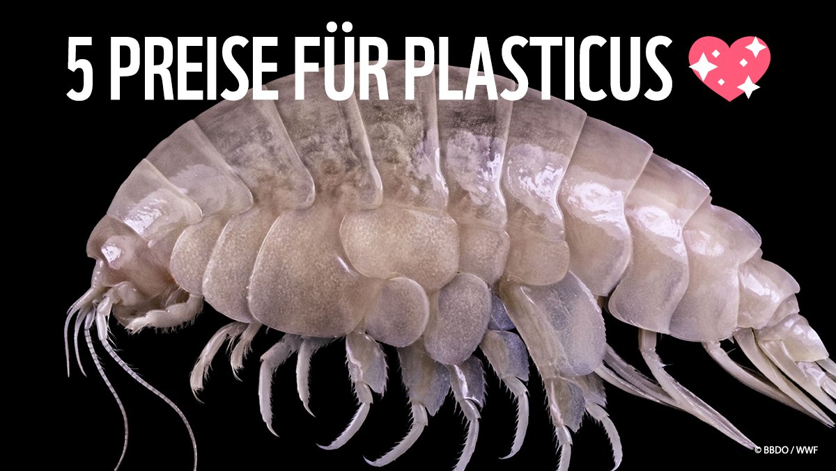 #Plasticus ist weltbekannt. 🦐🥇Der Flohkrebs ist extrem erfolgreich dabei, auf Plastik in den Weltmeeren aufmerksam zu machen. Gerade wurden er und seine Kampagne mit 5⃣ (in Worten: FÜNF‼️) Cannes Lions geehrt - einem der renommiertesten Werbepreise der Welt. cc <a href="/bbdo/">BBDO Group Germany</a>