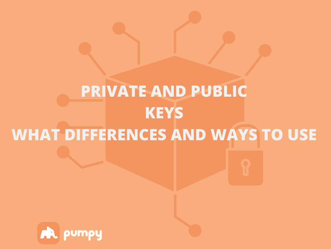 pumpyfarm's tweet photo. 📣 Private and public keys. What are the differences and what are they used for.

👉 Read here: https://t.co/hz5vQCQkW2 https://t.co/l1mXUuie0N