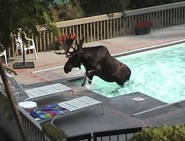 Mr. Marie ❣️ tweet media