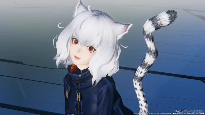 #PSO2NGS 
スキットピトー 