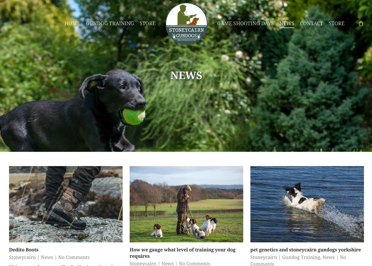 More articles added to our NEWS section. Here is a link; stoneycairn.com/news/   

Due to the pandemic we've seen an increase questions and guidance from further afield. What other training ideas or information would you like from us? 

#stoneycairn #gundogs #gundogsyorkshire