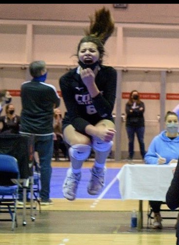 Core STL tweet media