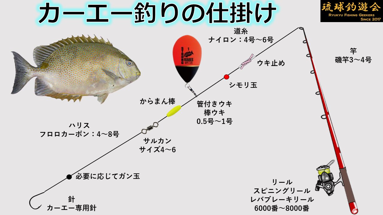 琉球釣遊会 過去のカーエー釣りの記事を少し修正 仕掛けのイラストを初心者の人のためにもう少し詳しくしました カーエー釣りに興味のある人の参考になればと思います T Co V6pssubg Twitter