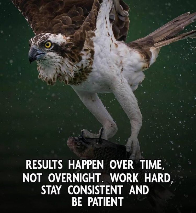 TapestryNet's tweet photo. https://t.co/JXZpXviUgP