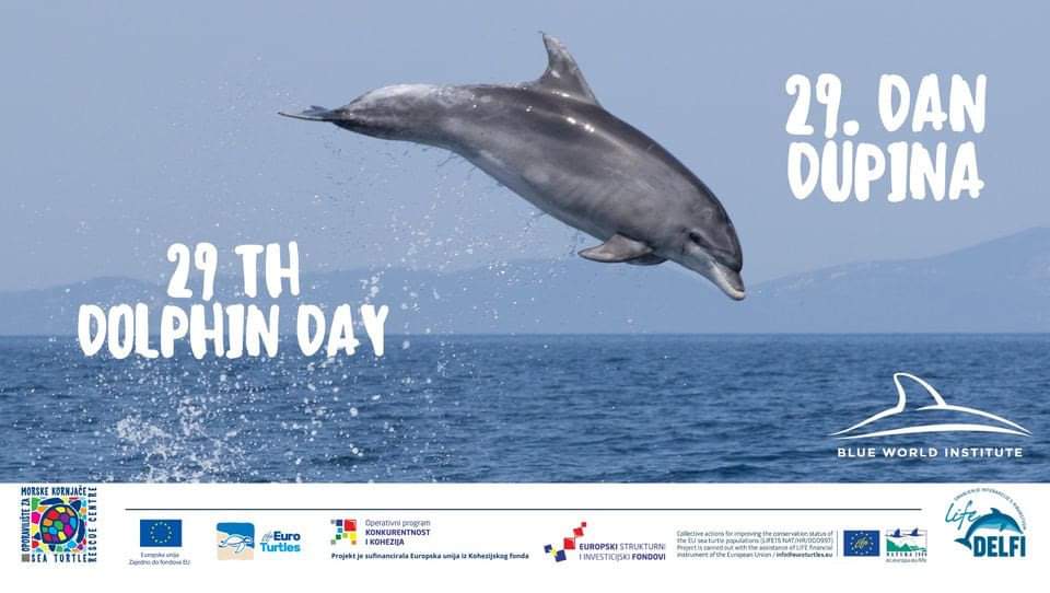 Life Delfi (@delfi_life) on Twitter photo 🔵 In #Croazia 🇭🇷domani si festeggia il 29esimo #DolphinDay organizzato da <a href="/BlueWorld_Inst/">Blue World Institute</a> partner di #LifeDelfi. Spazio al nostro progetto e alle interazioni pesca-delfini🐬.
Info 👉bit.ly/3w4enGx
#lifeproject #EUbiodiversity #BluePlanet #dolphins 🔵 In #Croazia 🇭🇷domani si festeggia il 29esimo #DolphinDay organizzato da <a href="/BlueWorld_Inst/">Blue World Institute</a> partner di #LifeDelfi. Spazio al nostro progetto e alle interazioni pesca-delfini🐬.
Info 👉bit.ly/3w4enGx
#lifeproject #EUbiodiversity #BluePlanet #dolphins