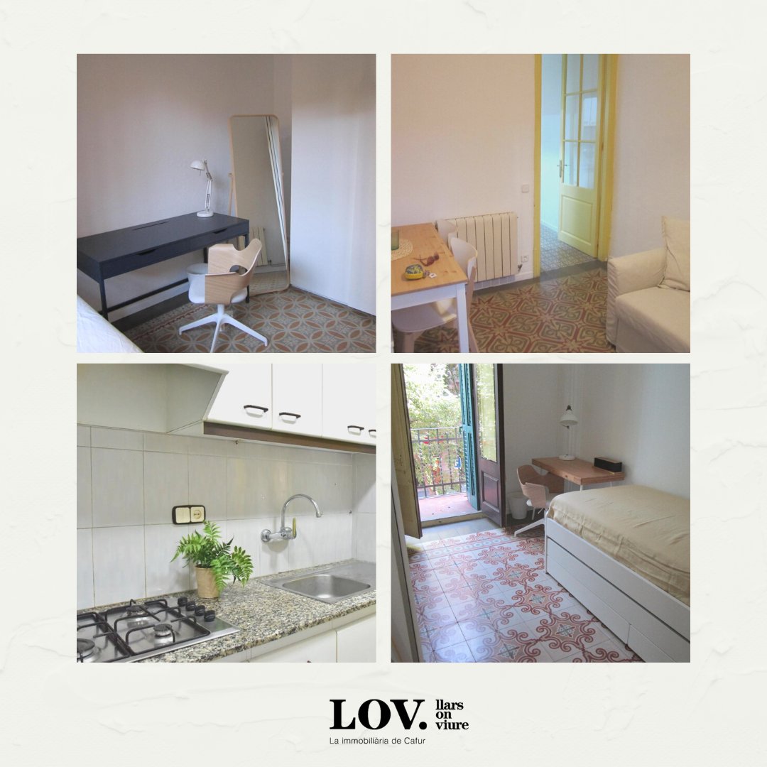 LOV Habitatges (@LOV_Habitatges) / Posts / X