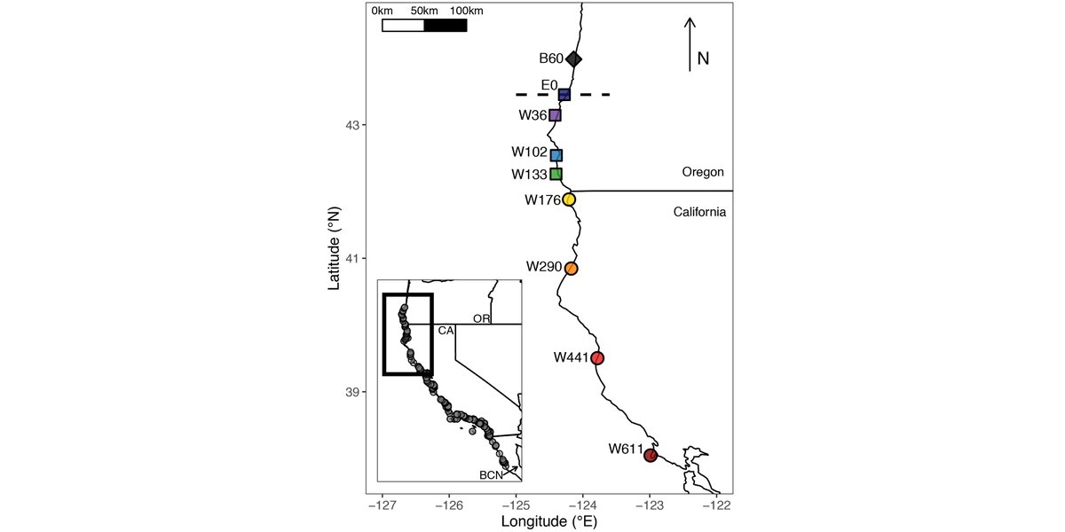 ESAEcology's tweet photo. Now online in @ESAEcology:
Long-term persistence of experimental populations beyond a species’ natural range
With #OpenData in @datadryad
#RangeLimits #SpeciesDistributions #PlantEcology
@reganlcross @QueensUBio
https://t.co/W36OdOdusX https://t.co/BH79vgPvIJ