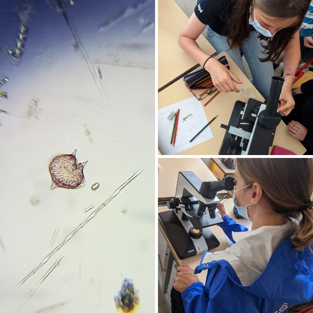 Rencontre à l'école Jules Ferry afin de sensibiliser les élèves aux planctons en français et en breton ! 
An emgav a oa bet roet e skol Jules Ferry a-benn kizidikaat ar skolidi ouzh endro an arvor ar plankton (e galleg kenkoulz hag e brezhoneg!).

#Breizh #planton #bretagne #mer