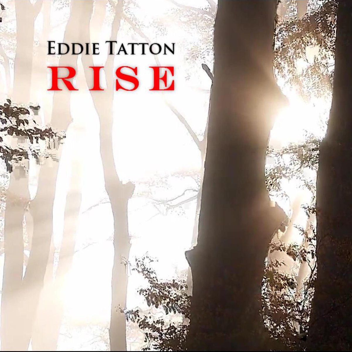 Watch out for this one in the next few weeks ...

facebook.com/21921960862514…

#guitarist #guitar #eddietatton #newmusic