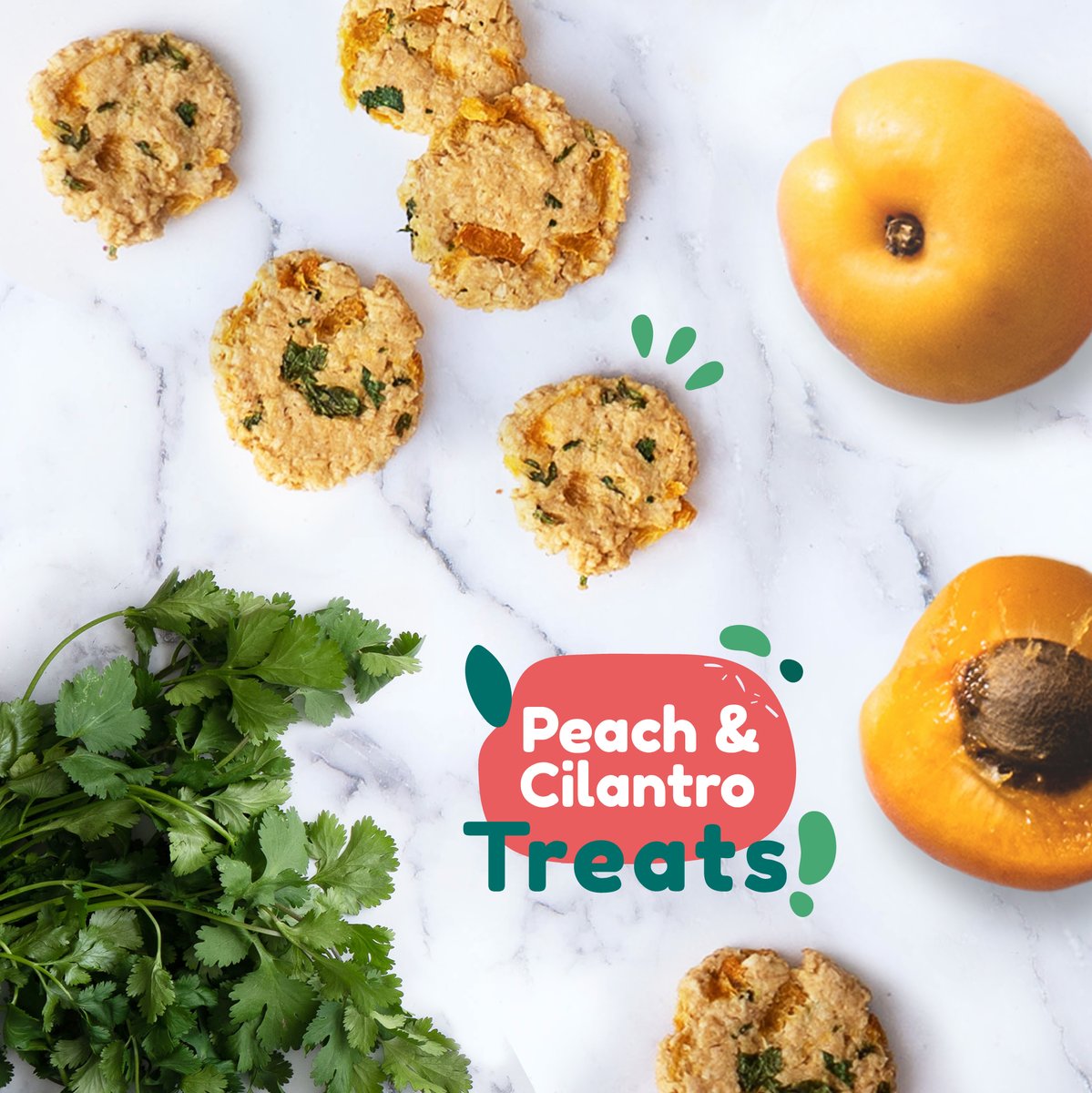 bowiesbites's tweet photo. Our Peach &amp; Cilantro treats provide a balance of sweet and savory like no other. Both provide vitamins and minerals for your babies. 🐕 The best part? They are handmade and 100% natural. No chemicals, preservatives, or artificial flavors. Are you ready to order?

#peach #cilantro https://t.co/tpGJuLcFlw