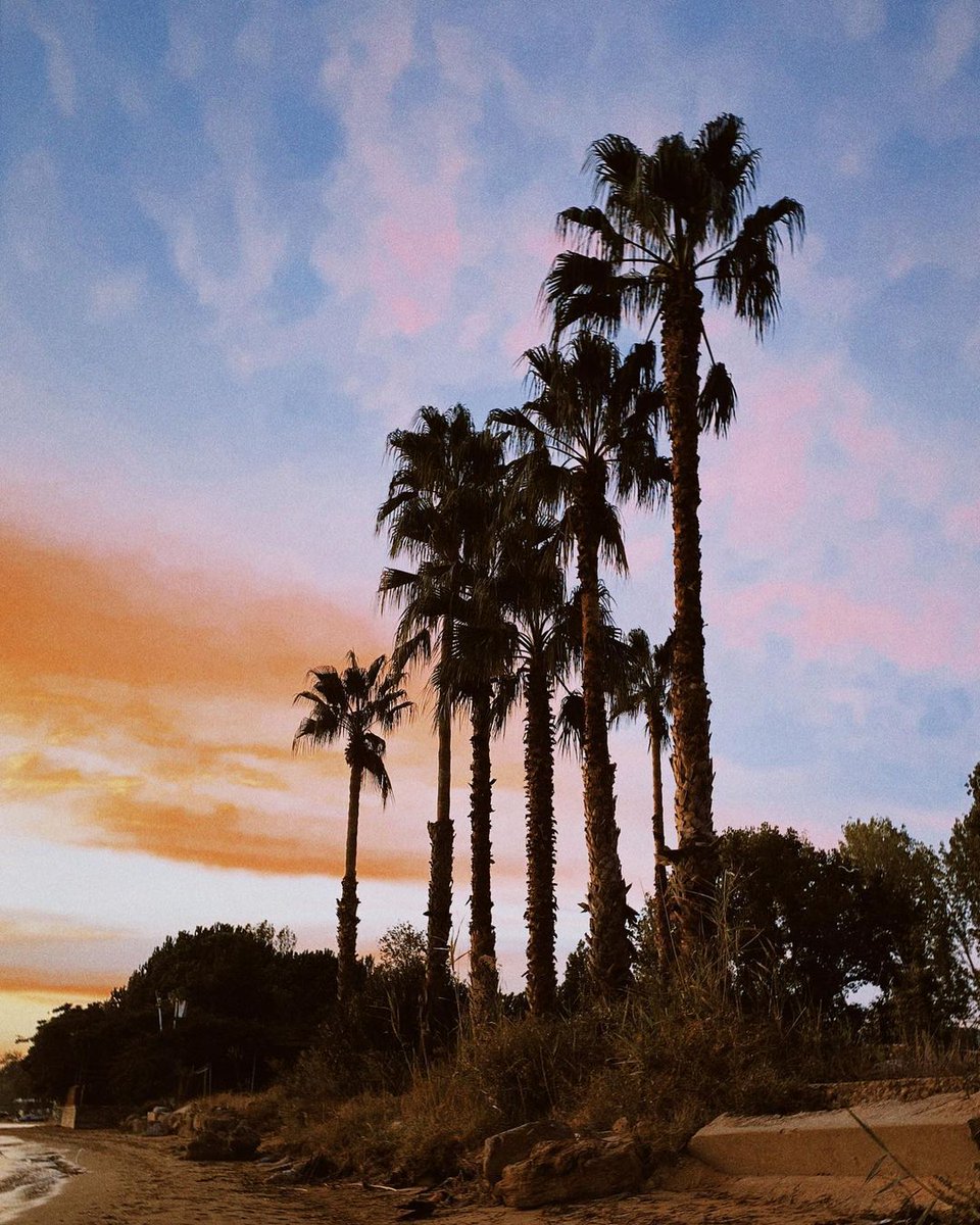 🧡Ege ve Marmara kültürü ile yoğrulmuş, mahalle kültürünün hala devam ettiği Erdek…
📍 #keşifönerisi: Erdek, Balıkesir.
📷<a href="/simayguleer/">Simay Güler</a>
#neredekal #öncetürkiyeyikeşfet #öncetürkiyeyikeşfetbalıkesir #Balıkesir #Erdek #tatil #seyahat