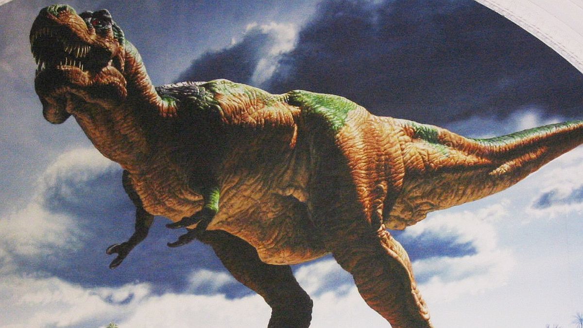 Когда жили динозавры видео. Тираннозавр рекс. Роберто завр рекс. Дино Тирекс.