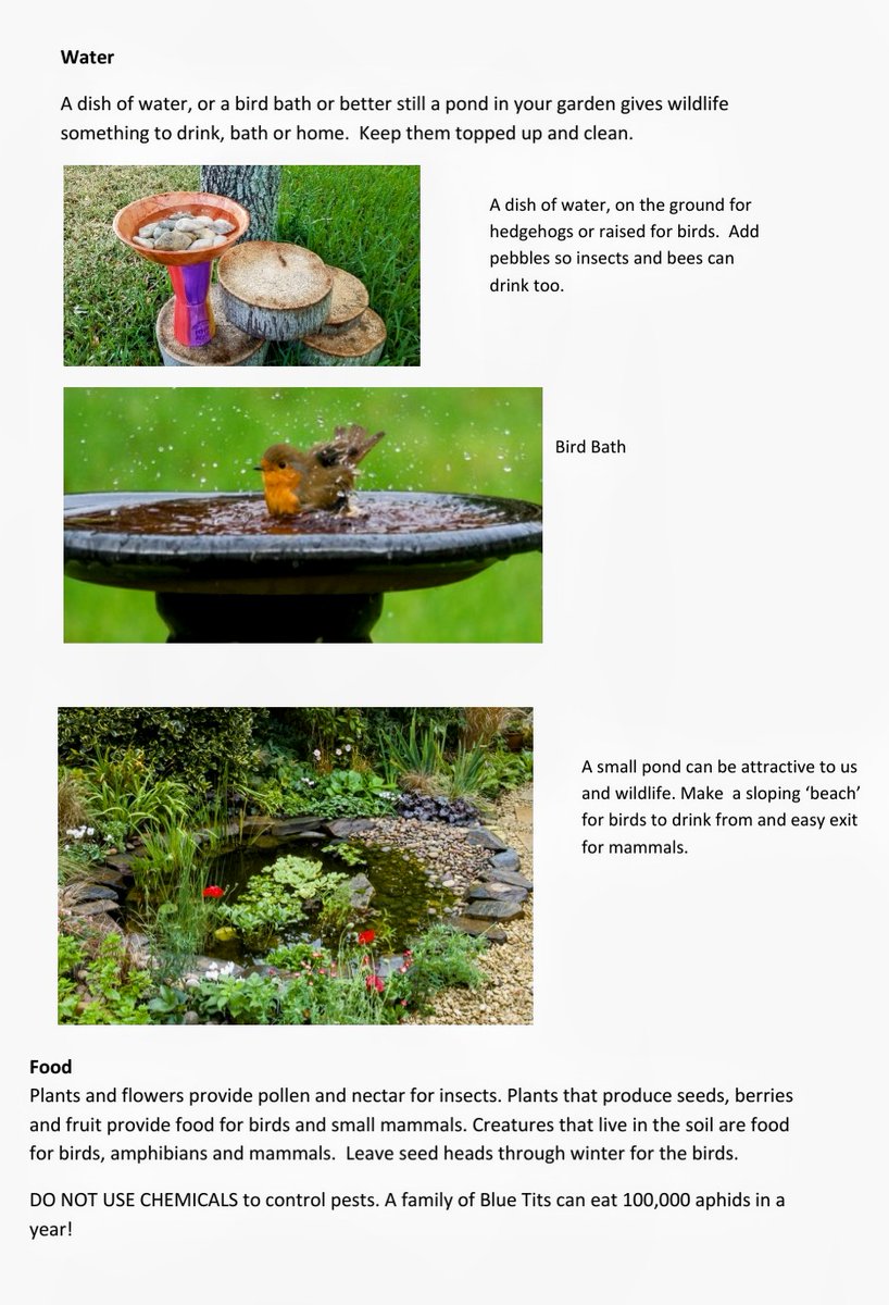 Gardening for wildlife? 🤞🐝🐞🐦🦔🦋
Or, want to garden for wildlife? 😀

Some helpful tips attached... please share your hints &amp; tips with us.  We want to learn💚