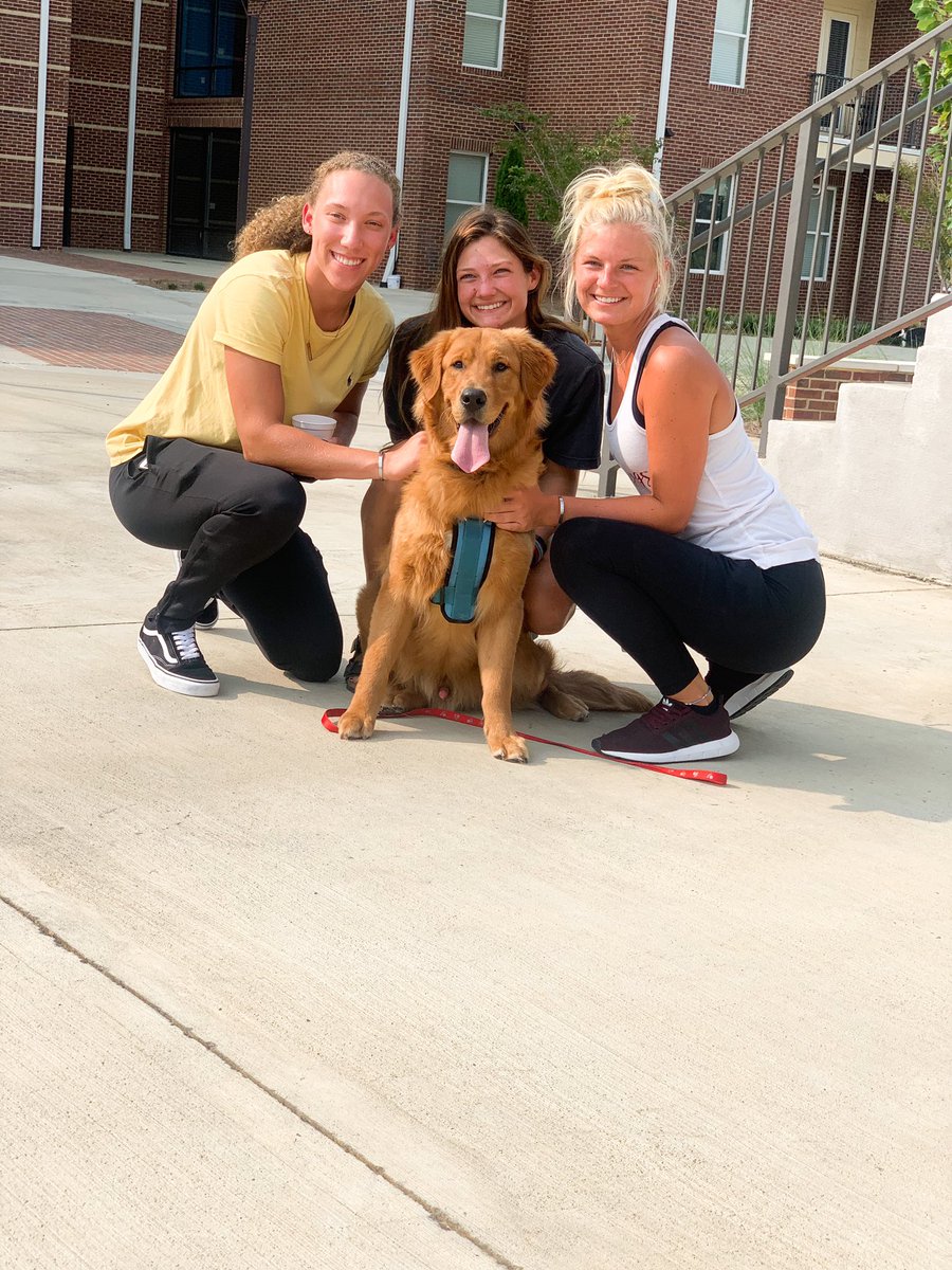 College View Apartments tweet media