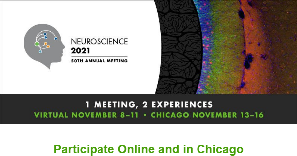 Annalisa Scimemi tweet media