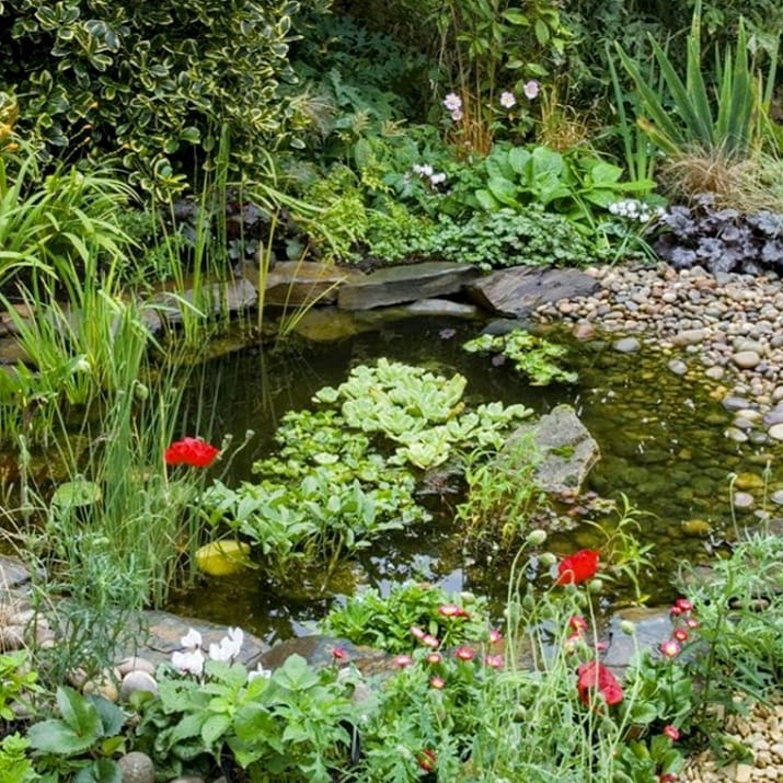 WinBloom1 tweet picture