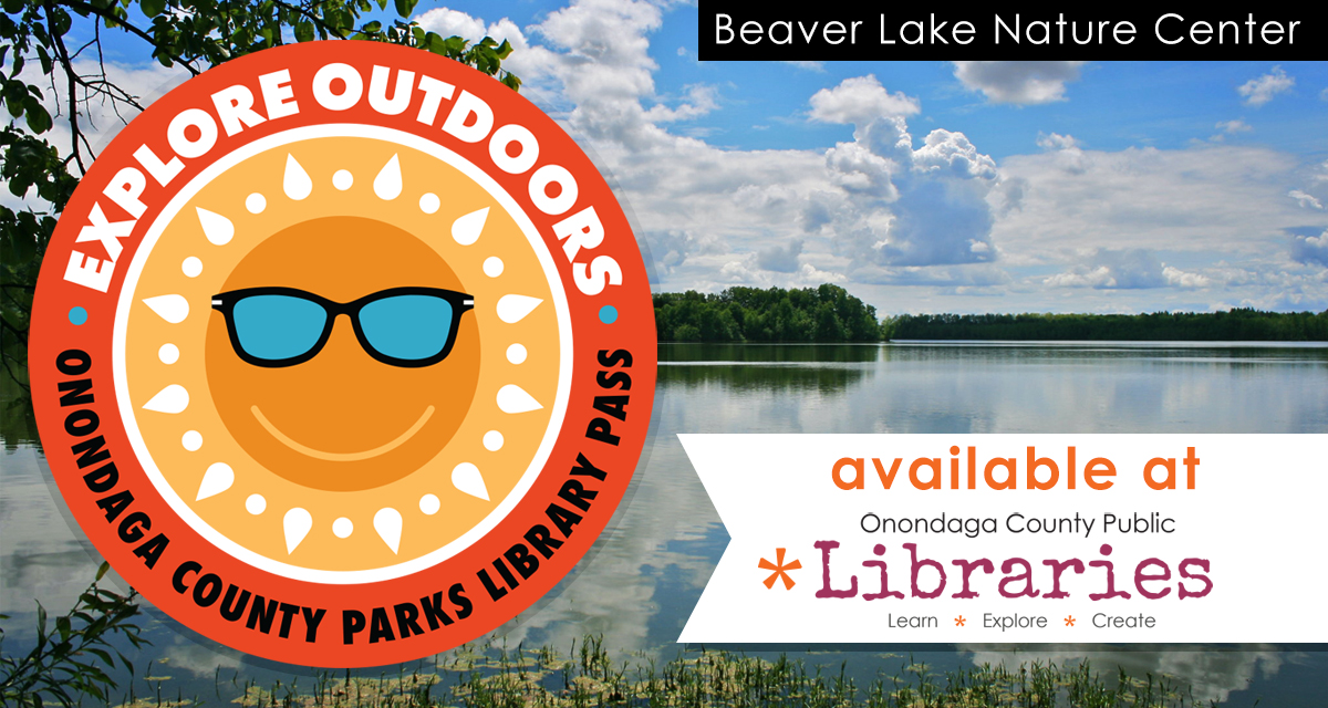 OCPL_CNY's tweet image. County and NYS park passes are available now at OCPL. Borrow one and explore the outdoors!