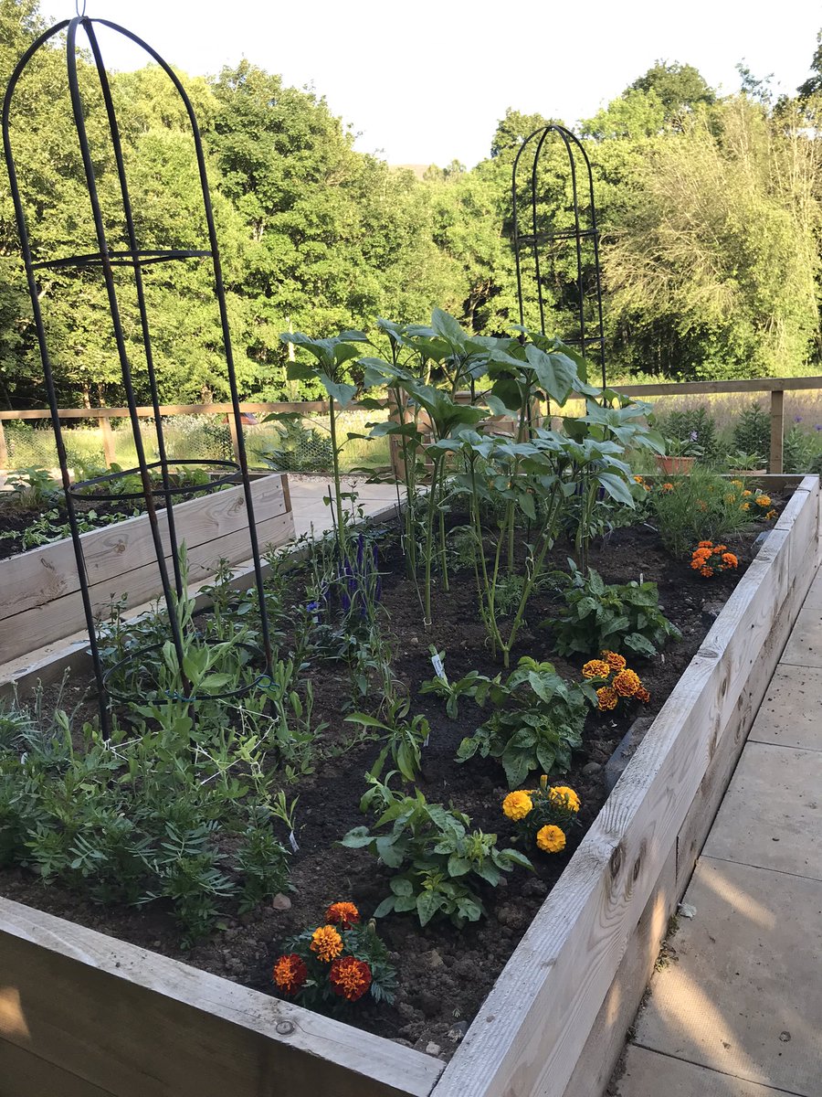 space_grow's tweet photo. Great day at the project. Many patients spent the day here. Thanks to the volunteers who supported #WeedingWednesday for their own #wellbeing #buildingacommunity #theraputicgardening #ConnectWithNature  #mentalhealthresource @MentalHBorders @NHSBorders @haylismac https://t.co/IdtO5eAj1k