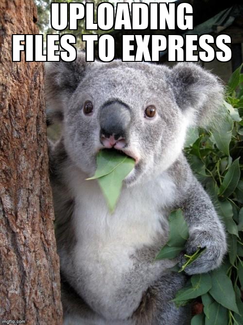 overflow_meme's tweet image. Uploading files to express stackoverflow.com/questions/6819… #multer #express #fileupload