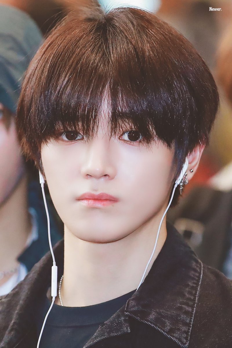 뽀 tweet media