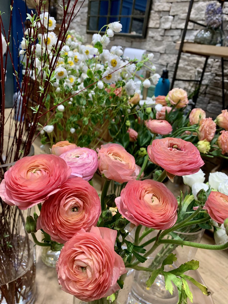 xiaomen's tweet image. Hey, my friends, I’m still alive.