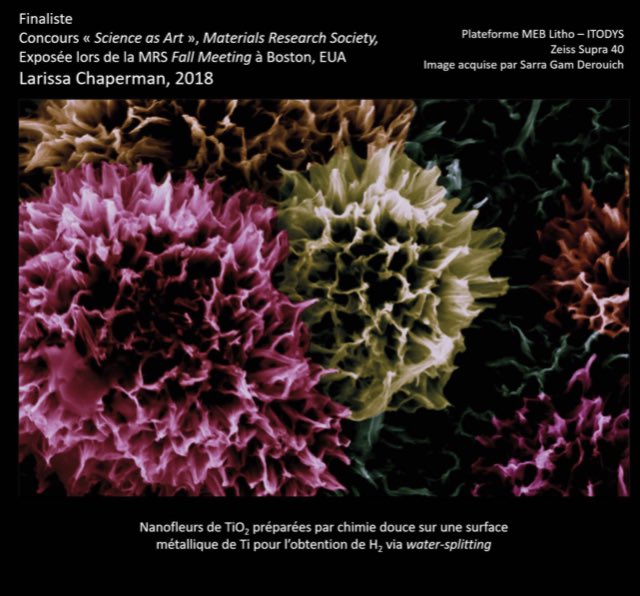 TeamIMM2's tweet photo. Congratulations to Larissa for the 1st prize « la preuve par l’image SEAM 2021 » !
@Univ_Paris @parisMRSchapter
#materials #labexSEAM #itodys #WomenInScience #womeninchemistry #WomeninEngineering #PhDstudent #pictures #scientificpictures #SEM https://t.co/dKOoLsUJHU