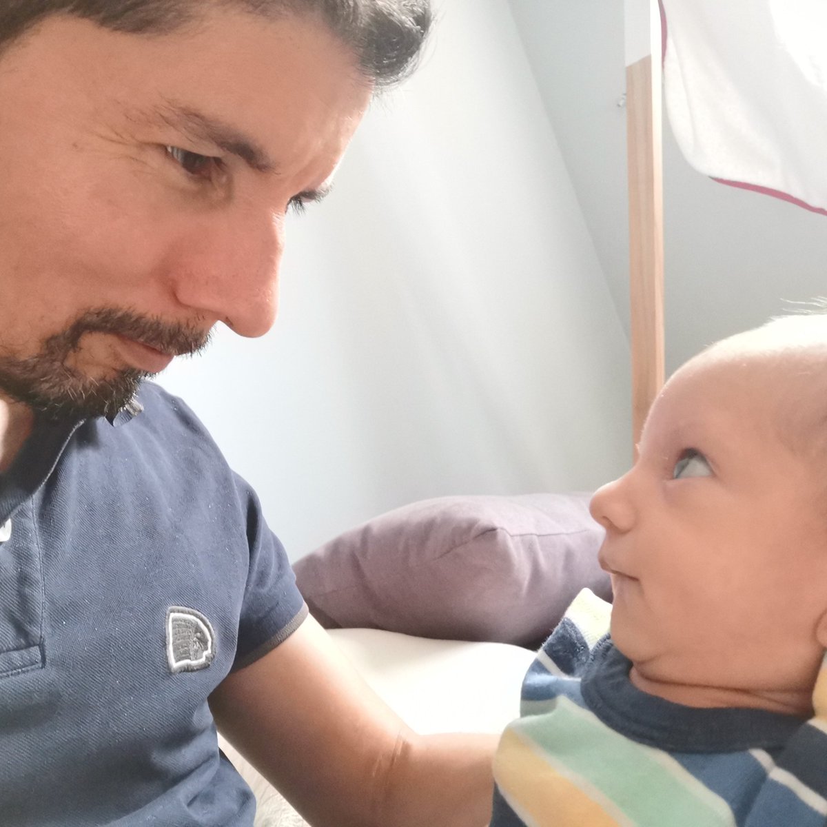 Luis Mulato tweet media