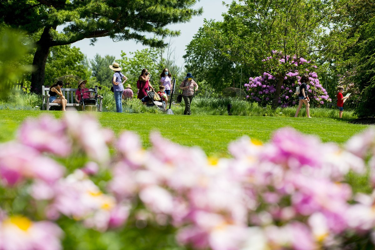 NewEnglandBG's tweet image. Celebrate the end of the heat wave with us Thursday evening. 😎Enjoy our Wild Hideaways exhibit, tasty to go cafe fare, live music, summer blooms, our beer garden and much more! 🍻towerhillbg.org/planyourvisit/