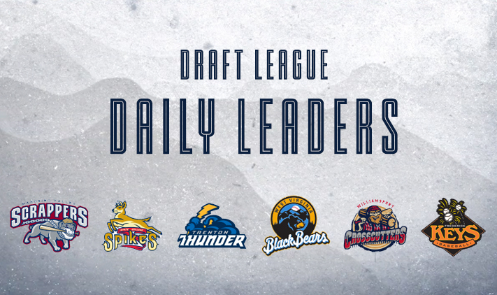 MLB Draft League Data tweet media