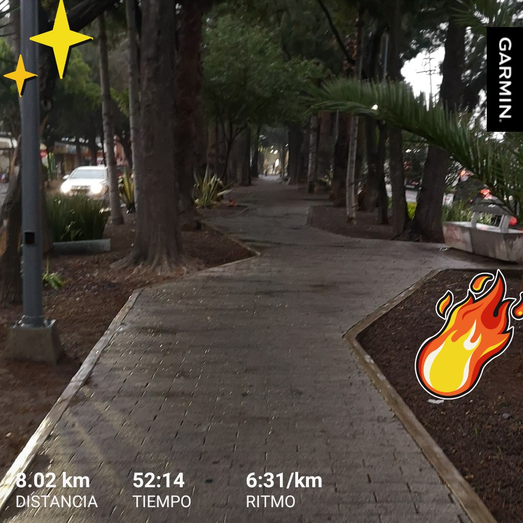 dtcarre's tweet photo. Sigue lloviendo, así va a estar todo el día, cafetero y buenísimo. No hay mejor forma de terminar junio. ☕☕
#FelizMiércoles #runnersplus
#garmin #beatyesterday https://t.co/bzu5QpbF7X