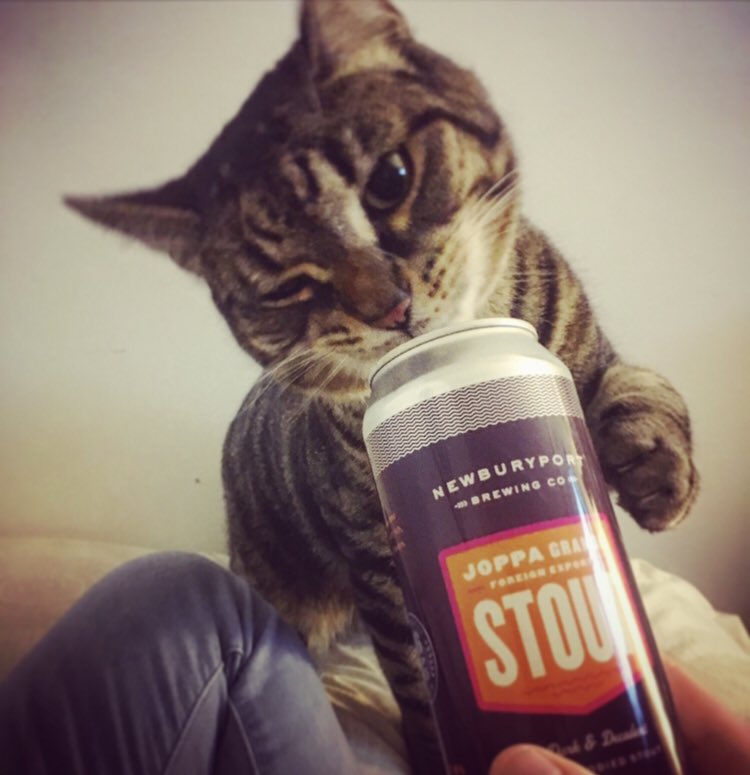 ColeyLynch's tweet photo. @Venmo @NeuzaMPP our third roomie is drinking all of our beer and living rent free. #VenmoItForward https://t.co/UZec6lnITq