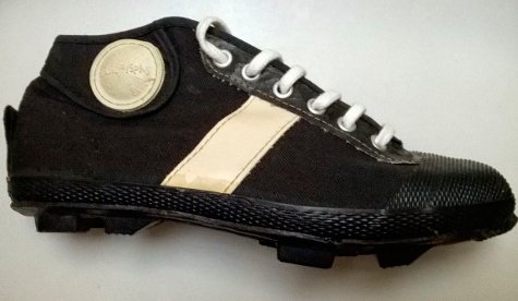botin sacachispa