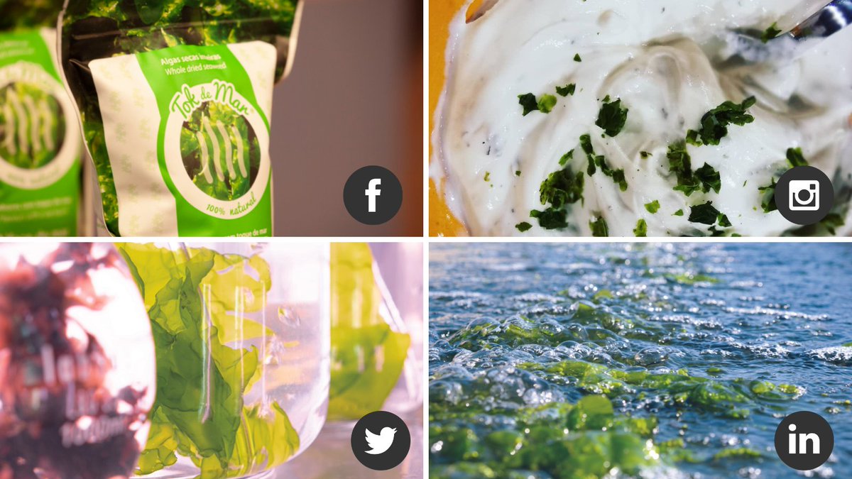 ALGAplus's tweet photo. Get you a #seaweed that can do it all!
On Social Media Day we throw back the Dolly Parton Challenge to thank you for digitally walking alongside us! ❤️
#algaplus #dealgaecoracao #wesespeakseaweed #socialmediaday #seaweedfarmers #atlanticseaweed #farmedintheeu #sustainablefood https://t.co/elGAWwRbkv