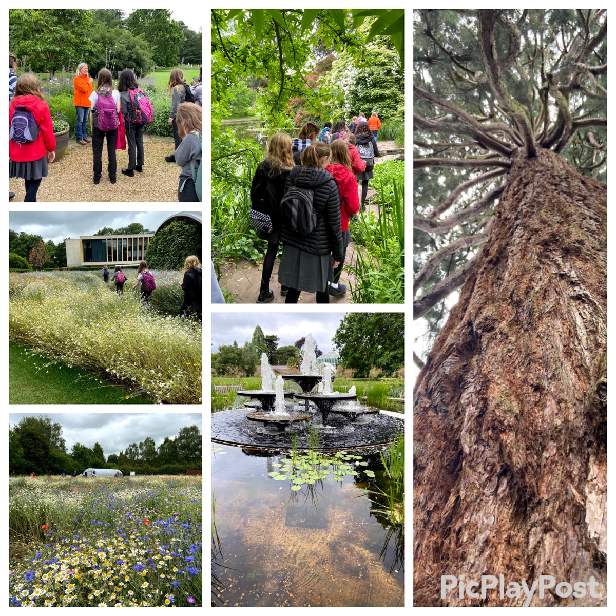 We were lucky that our Eco Club were able to visit <a href="/CUBotanicGarden/">Cam Botanic Garden</a> with <a href="/CUBGLearning/">CUBG Learning</a> today for ideas for our Nature Garden at school!  Thank you for hosting us and we can't wait to put our ideas into our designs. #educationwithcharacter