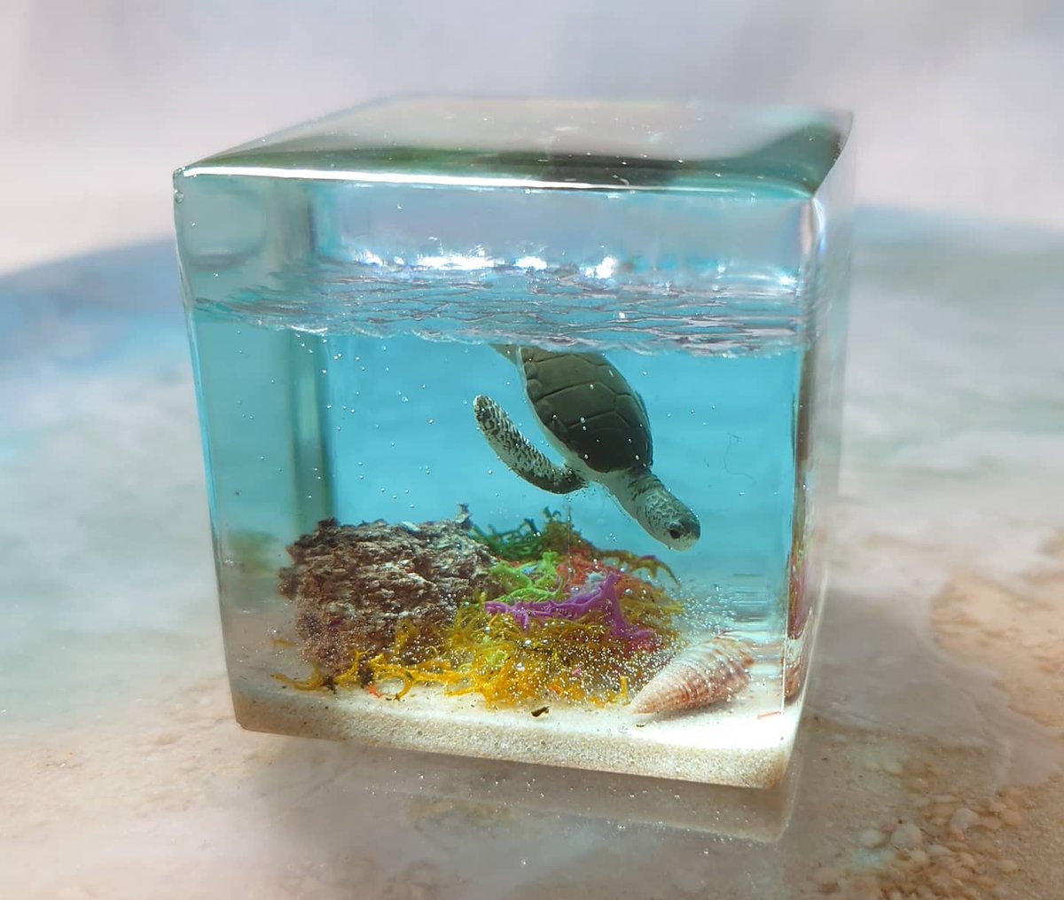 Ryujin23's tweet photo. 海中キューブ(ホヌ)

5cm角のキューブシリーズに海ガメを追加しました。
ペーパーウエイトとしてお使���頂けます。
詳しくはHPをご覧下さい。
𓇼*･゜ﾟ･𓆉:.｡..｡.:*
#宮古島
#宮古島ハンドメイド
#沖縄ハンドメイド
#レジン
#ハンドメイド
#海レジン
#ウミガメ
#海ガメ https://t.co/x3u5Myyio9