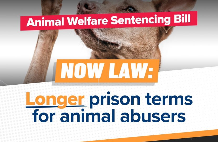 The Animal Welfare (Sentencing) Act came into force yesterday! From now on, the worst animal abusers will face 5 years in prison, up from 5 months. Animal abuse must never be tolerated. 🐶🐾 #ActionForAnimals
