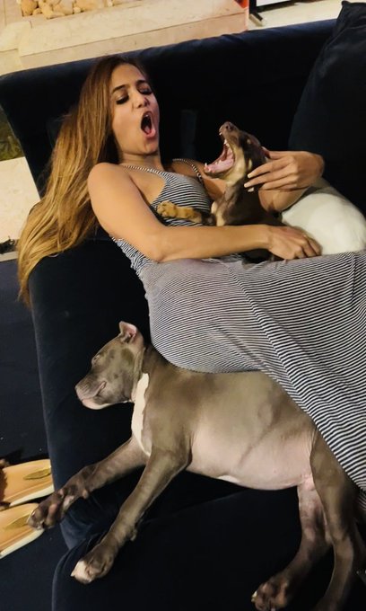 Is yawning contagious? https://t.co/fSrrVpbMyA<a href="/tag/pkfan"class="tags"><span>#pkfan</span></a><a href="/tag/hbdjanasenanipawankalyan"class="tags"><span>#hbdjanasenanipawankalyan</span></a>