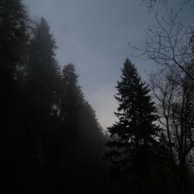 KangarooEmpire's tweet photo. The Qviksyndi Forest refers to an area east and south of the Wimahl River on the east banks of the Qviksyndi River, a tributary of the Wimahl that has its headwaters on the slopes of Wy'east.

The Forest has been owned by a succession of families, each

https://t.co/WQNwjHcUq0 https://t.co/dvdYOBACWU