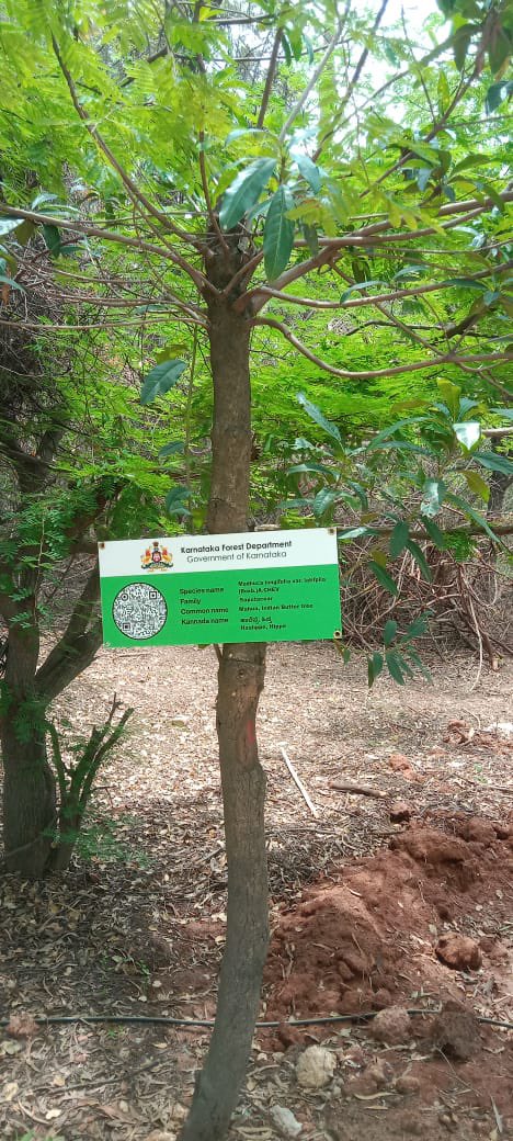 Karnataka Forest Department tweet media