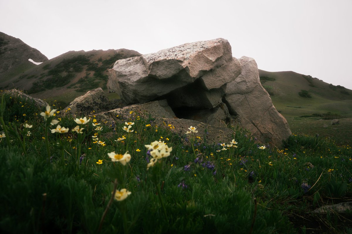 Hunter Welsh tweet media