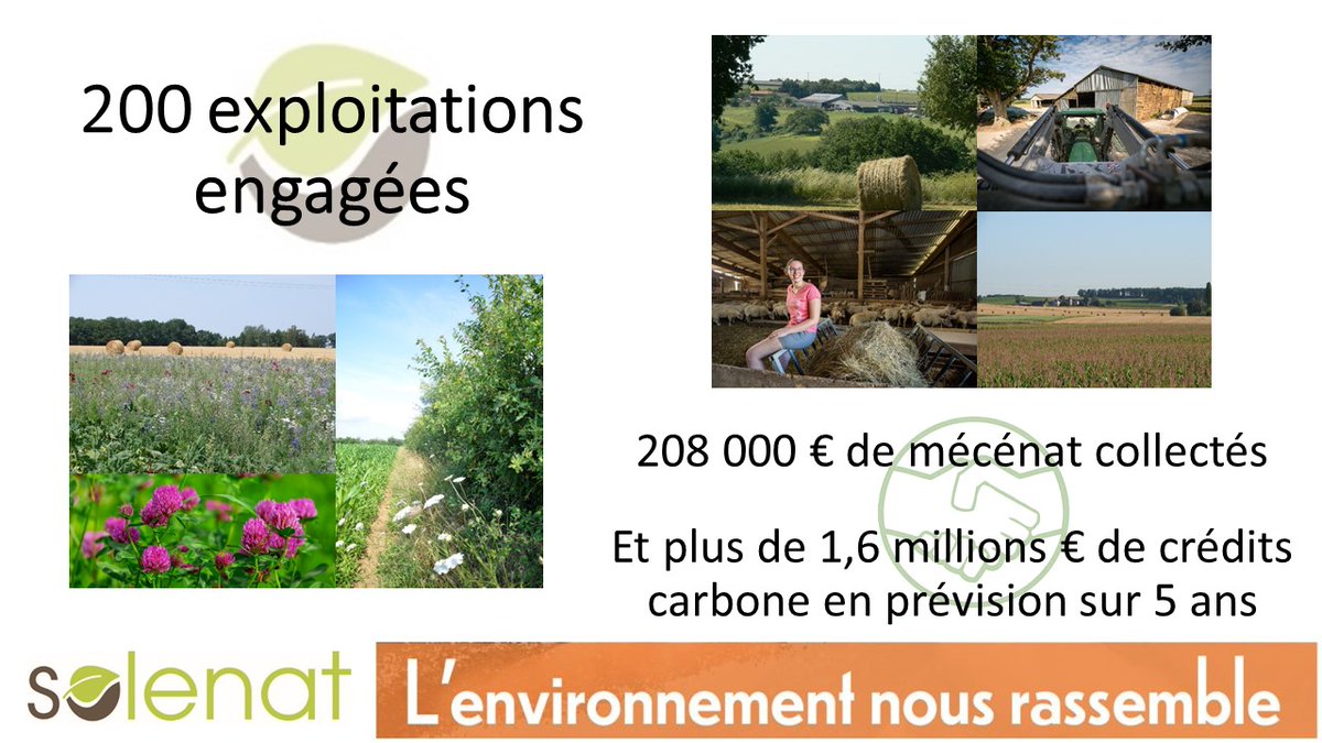1ers résultats en quelques chiffres, au bout d'un an d'activités. ⬇️
Merci à nos premiers soutiens 🤝 !
Entreprises : rejoignez-nous pour mettre en œuvre votre #RSE ou compensation  #carbone sur des projets concrets avec les #agriculteurs locaux ! 
solenat.fr/resultats-chif…