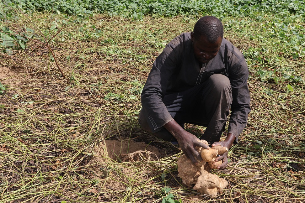 FAOSenegal's tweet image. Au Sénégal🇸🇳, #SD3C (2021-2026) est financé à hauteur de 2⃣8⃣millions💲, Fonds Vert Climat inclus

👉🏿Consolider les moyens d’existence des petits producteurs en particulier femmes &amp;amp; jeunes de ménages agropastoraux👩🏿‍🌾🐑🐂

1⃣8⃣0⃣.0⃣0⃣0⃣ personnes ciblées 
5⃣0⃣% femmes
4⃣0⃣% jeunes