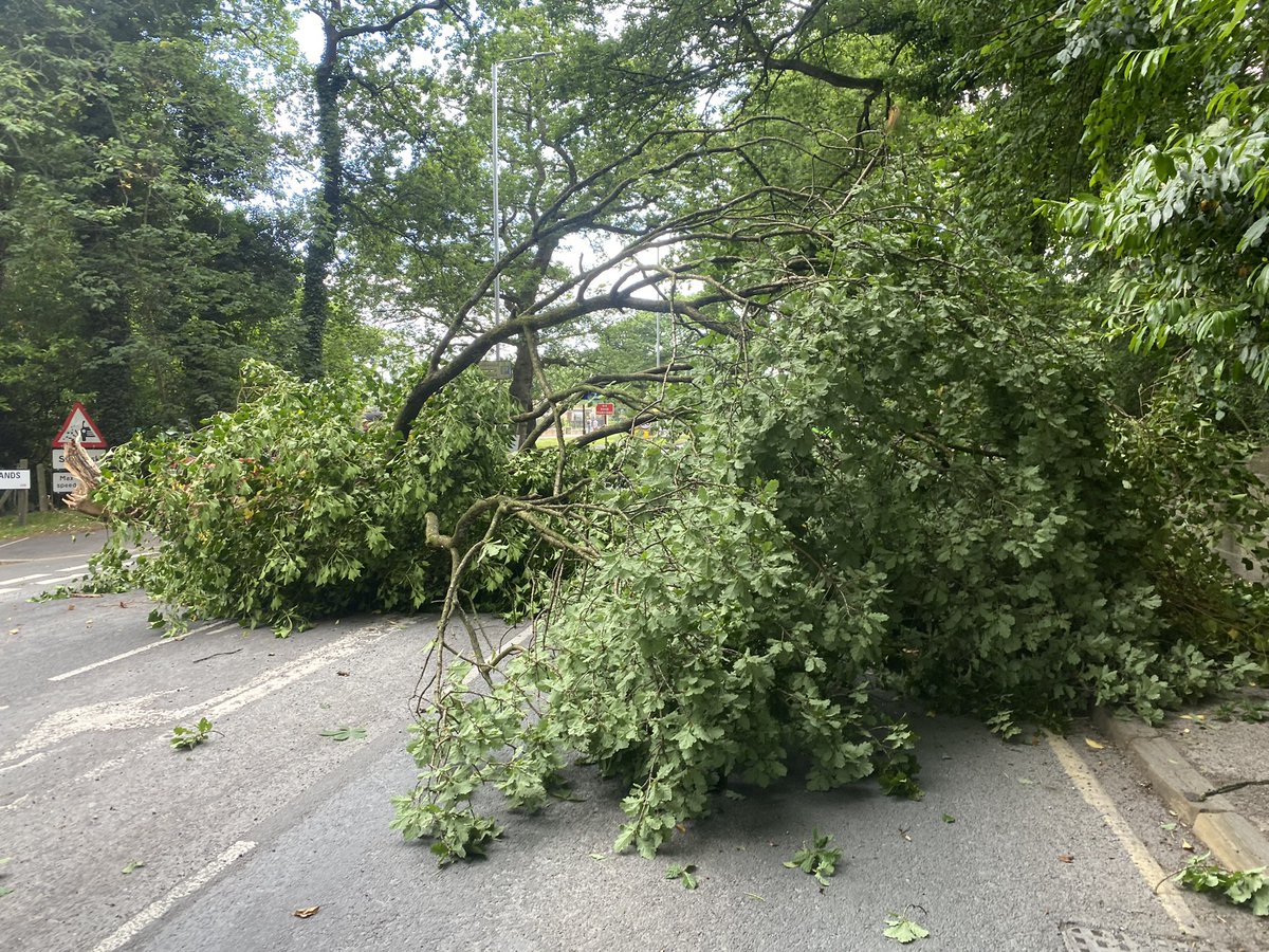 BrownberrieTree's tweet photo. Helping to keep the traffic moving on the A660 by clearing a fallen down tree, came across this whilst stuck in traffic #a660 #adel https://t.co/W7CET4KEUE