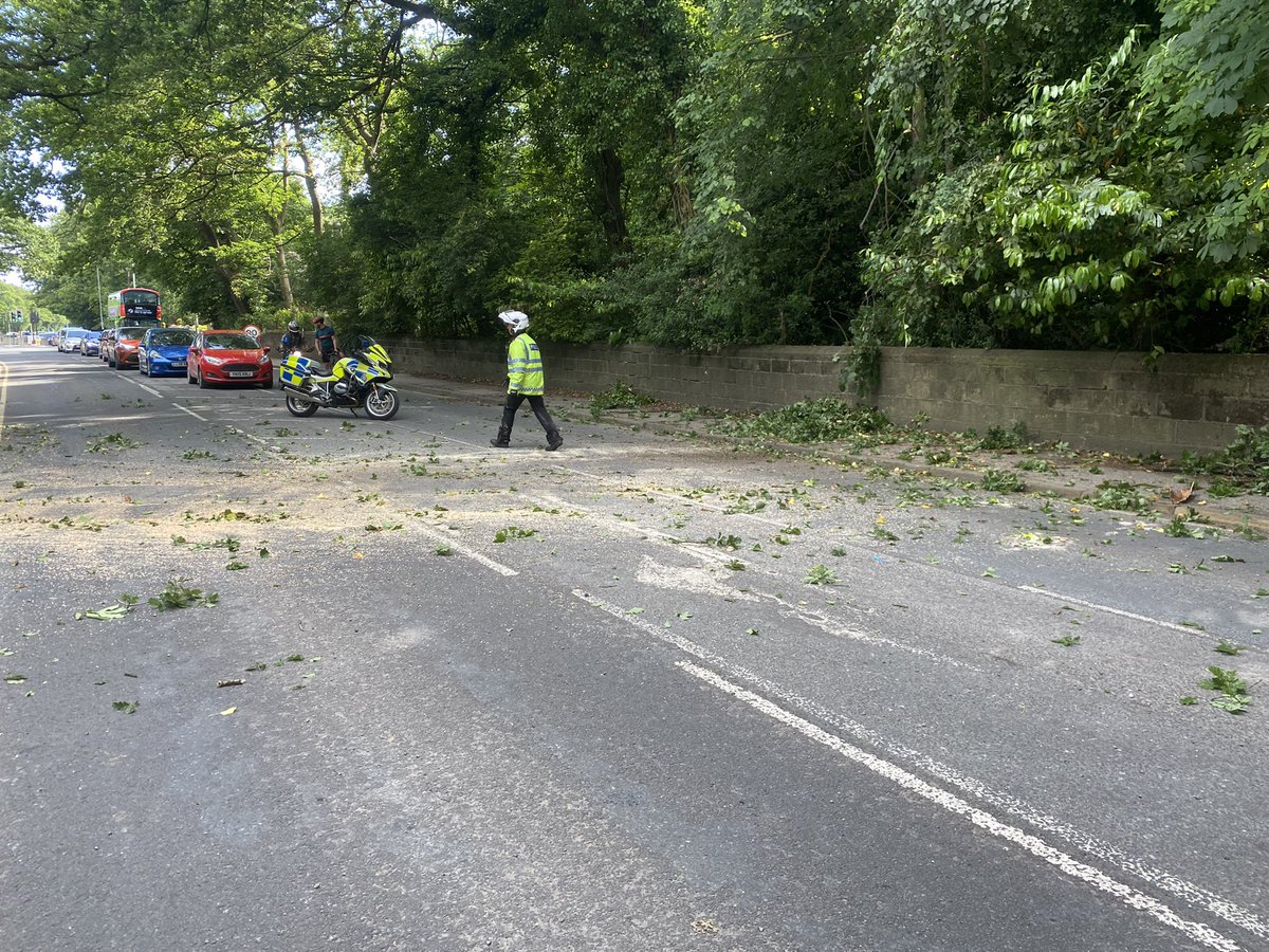BrownberrieTree's tweet photo. Helping to keep the traffic moving on the A660 by clearing a fallen down tree, came across this whilst stuck in traffic #a660 #adel https://t.co/W7CET4KEUE