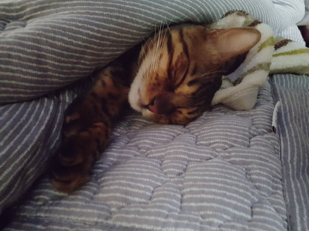 잘 때는 천사같아