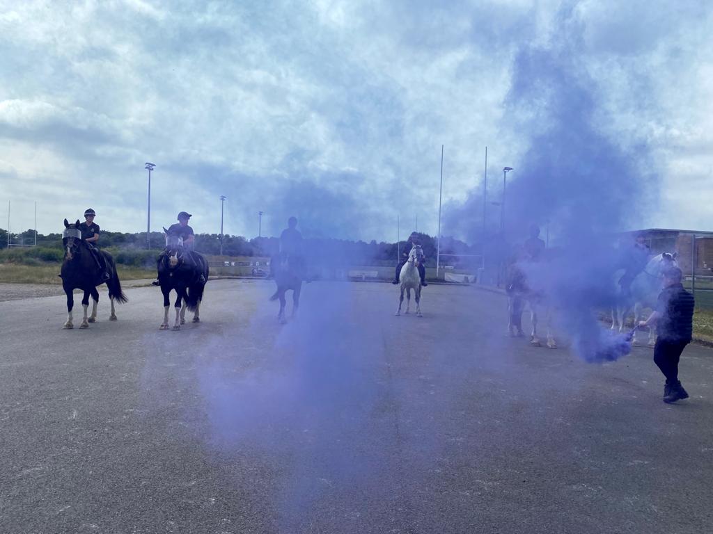 GMPHorses's tweet photo. Wednesday #TrainingDay here at the Unit for the early shift. Today we have been using coloured flares and smoke to help desensitise our horses in a controlled environment. Left to right we have PH Ebenezer, Little Dorrit, Tiny Tim, Barnaby, Dickens and Hexam🐴#gmpmounted https://t.co/fkUnpinBlw