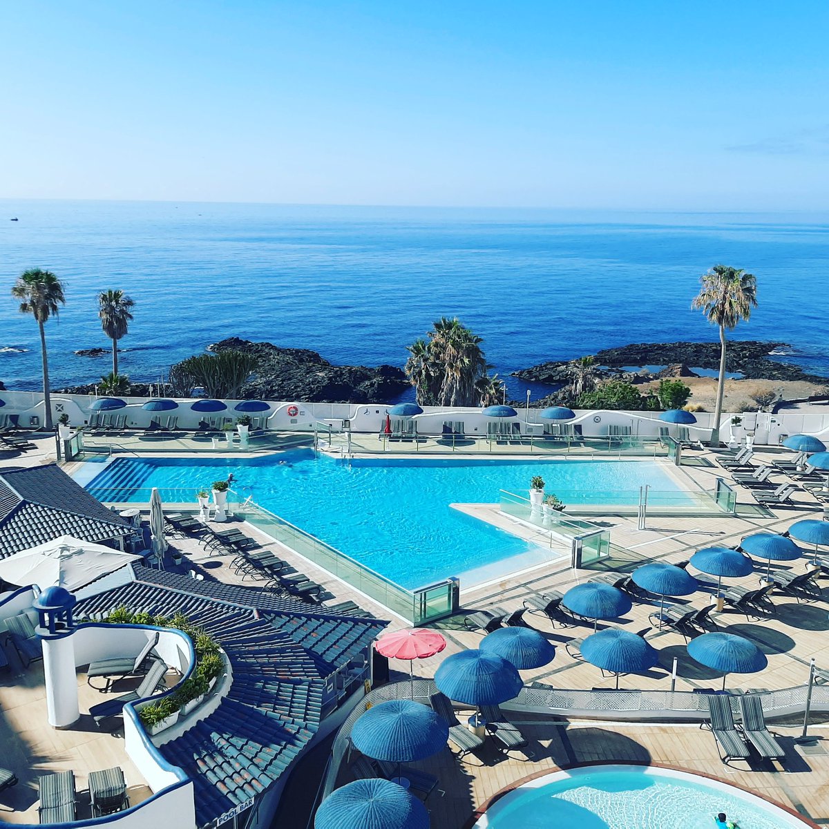 Joan Waite-Bulgin tweet media