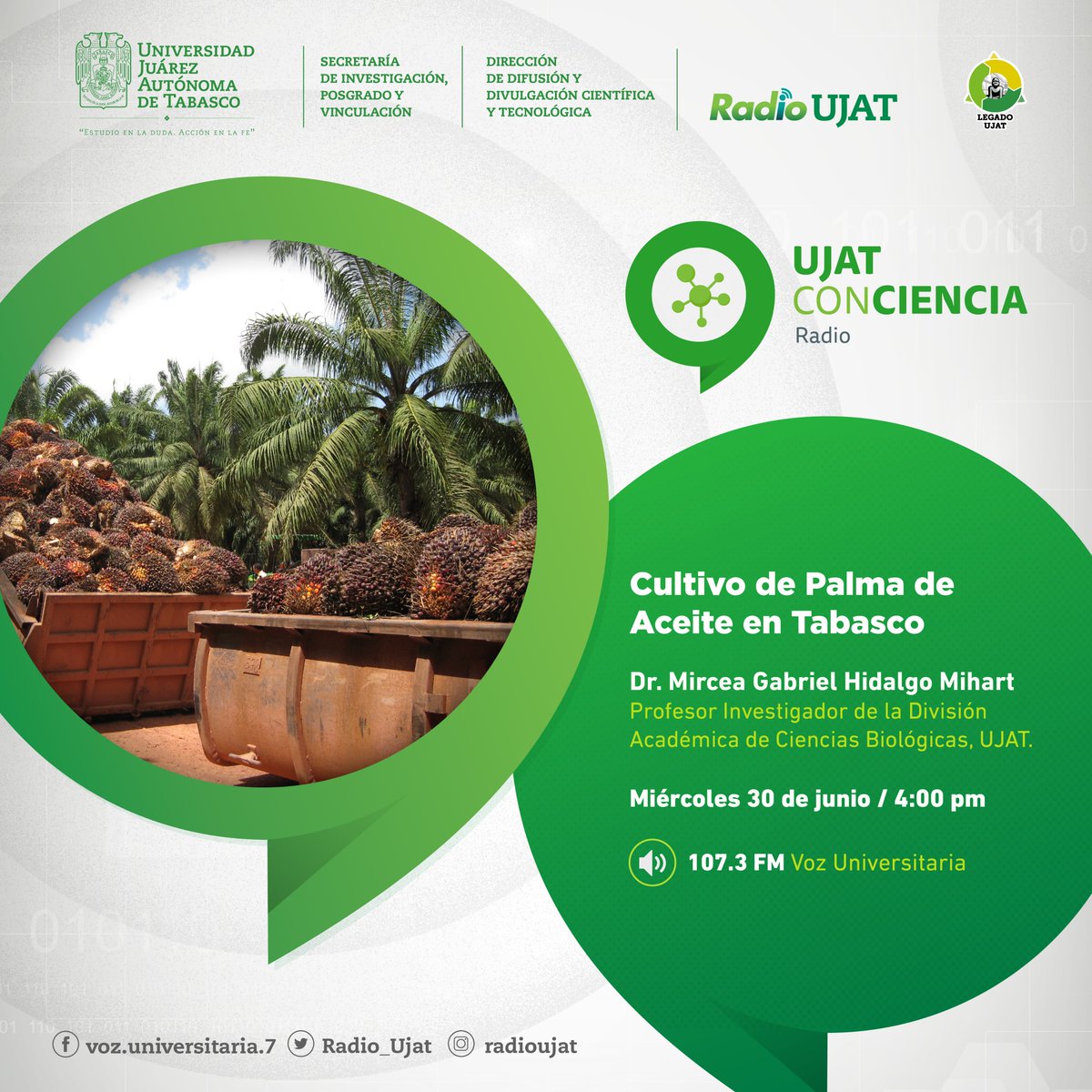 dcyt_ujat's tweet photo. El Dr. Mircea Gabriel Hidalgo Mihart de la #DACBiol nos hablará sobre el #cultivo de palma de #aceite en #Tabasco en el programa  #UJATConCiencia #radio, a través de la frecuencia 107.3 FM Voz Universitaria. 🌴🌴🌴👇🏼

#CienciaJuchimán https://t.co/qsHqH1zTo8