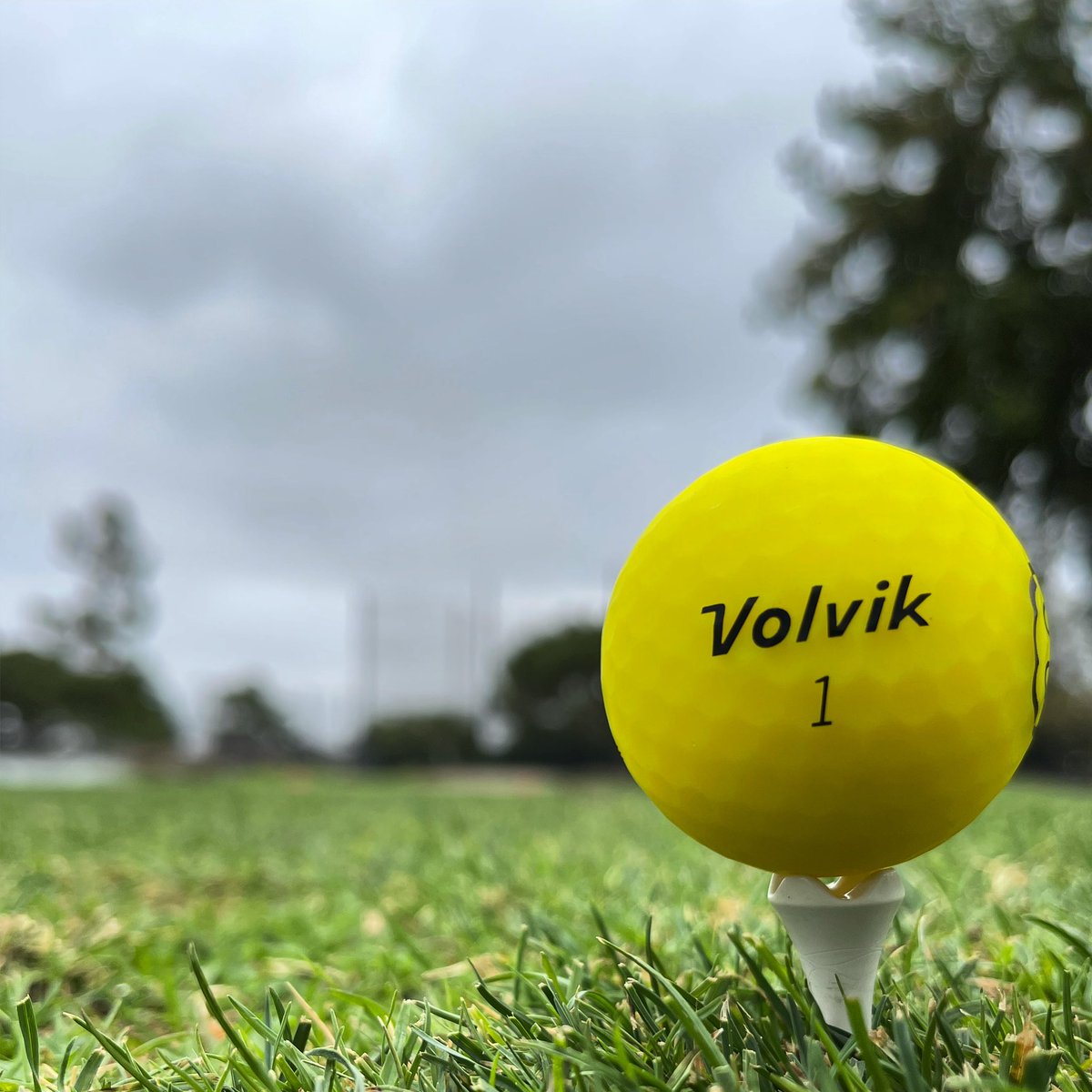 VolvikUSA tweet media