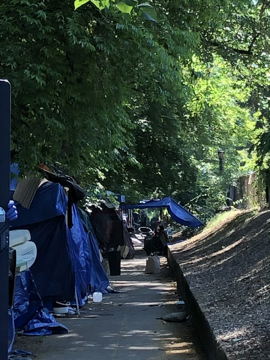 Laurelhurst Park PDX tweet media